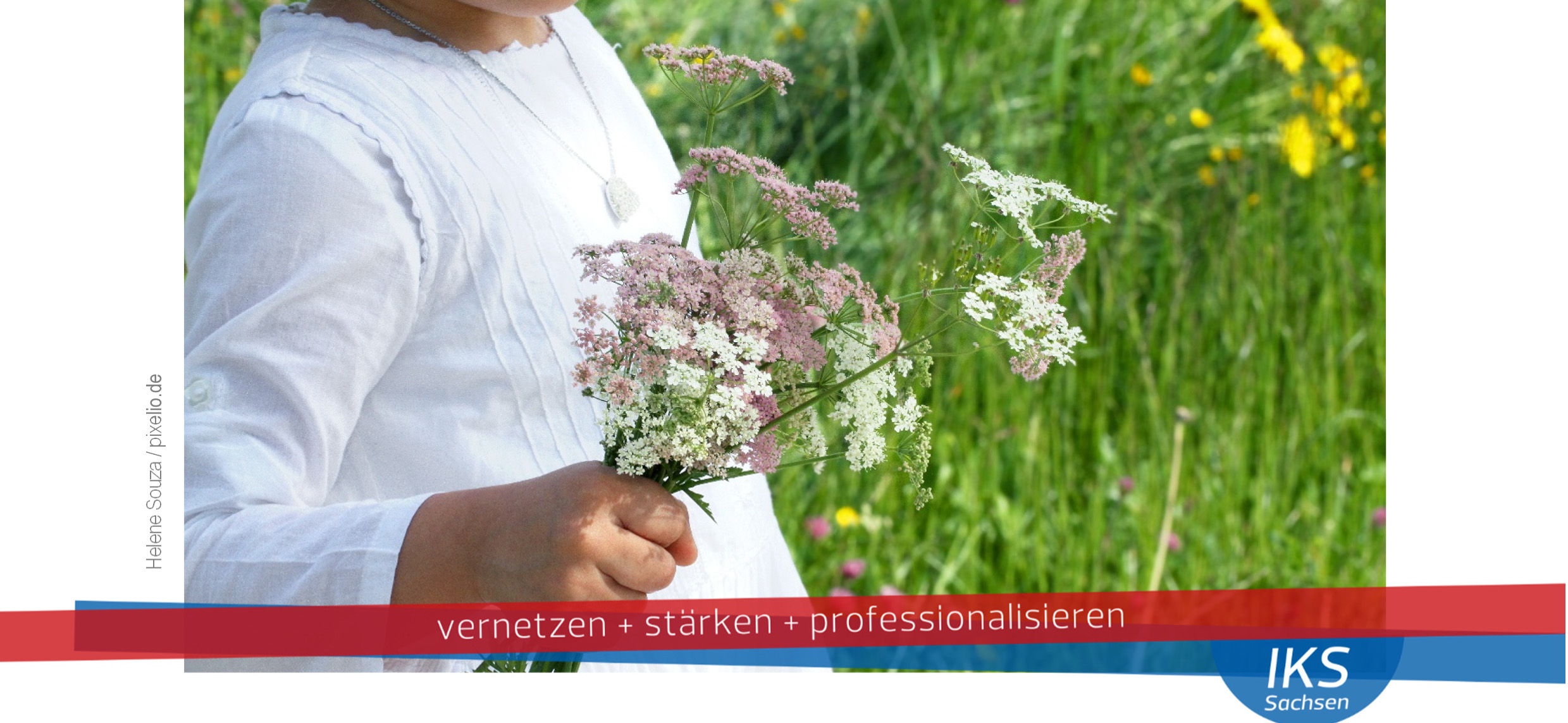 Leubner_Kr%C3%A4uter_Ausschnitt